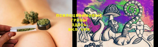 2c-b Алексеевка