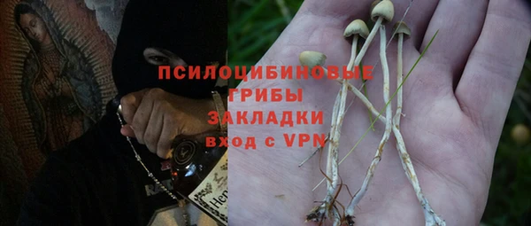 герыч Алексин