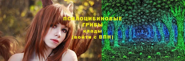 герыч Алексин