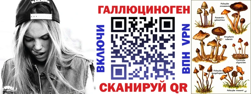 Псилоцибиновые грибы мицелий  Чердынь 